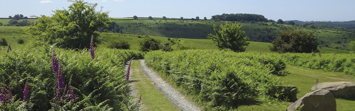 The Dartmoor Way goes around the edge of Dartmoor National Park