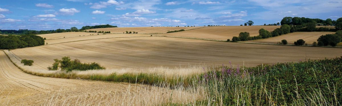 Walking the Gloucestershire Way: a complete planning guide