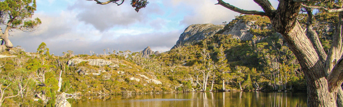 The Wombat Pool at the start of Tasmania's Overland Track