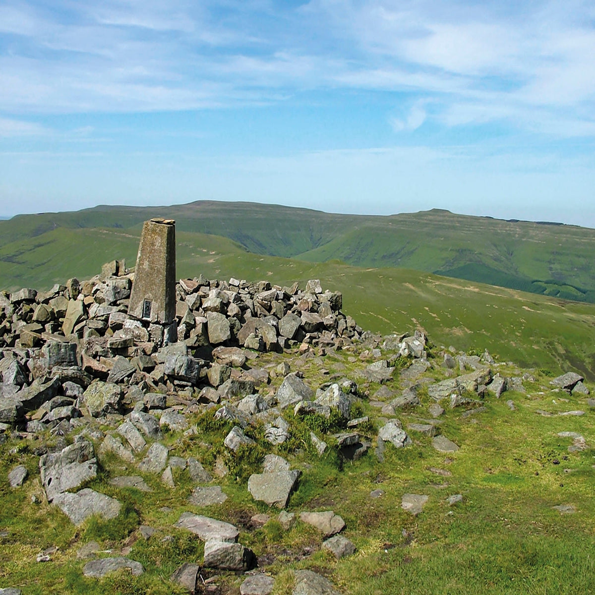 An Introduction to The Cambrian Way