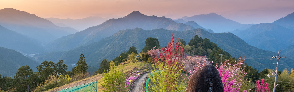 Walking in Japan: the Kumano Kodo