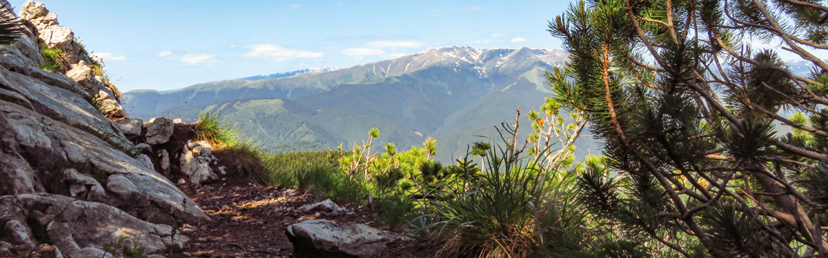 The Romanian Mountains: what you need to know