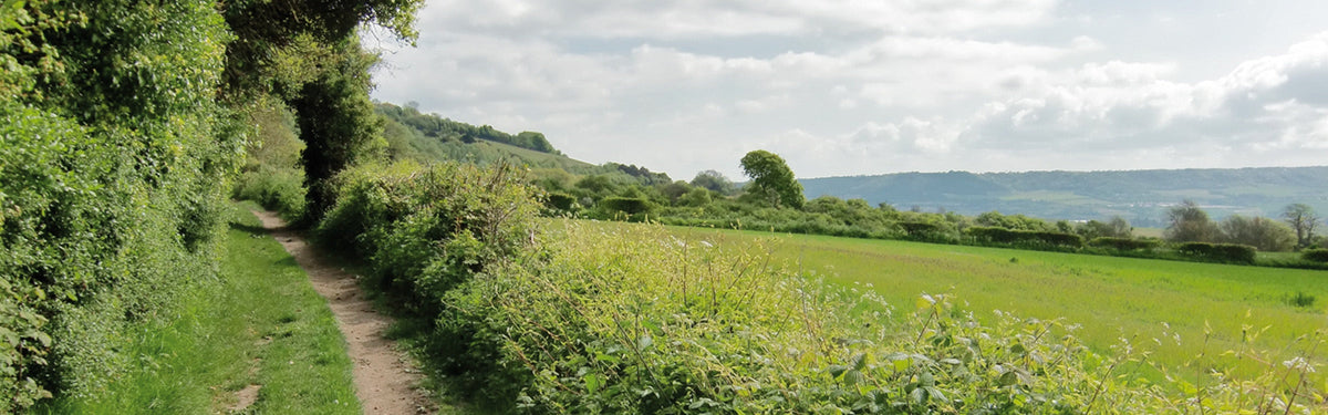 An introduction to the North Downs Way