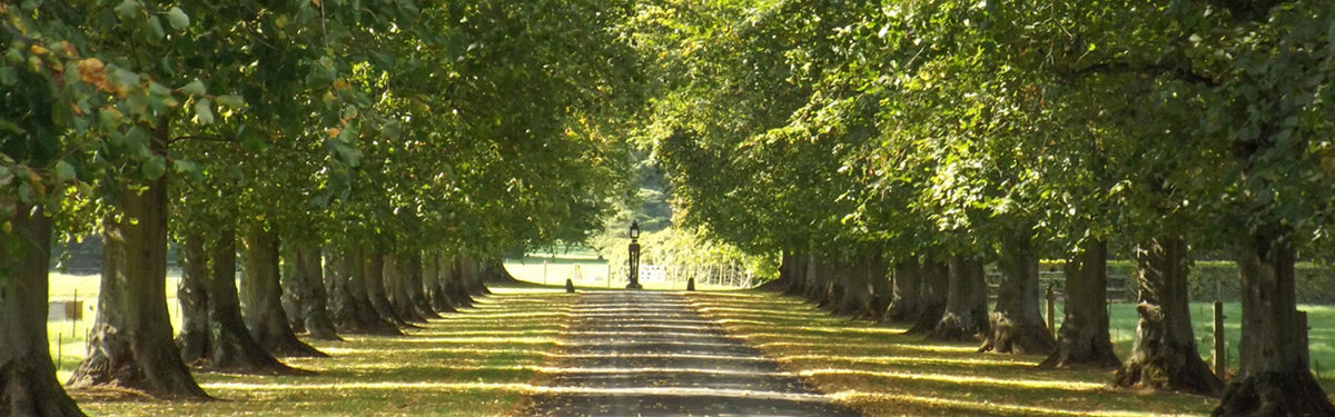 An introduction to the Pilgrims’ Way