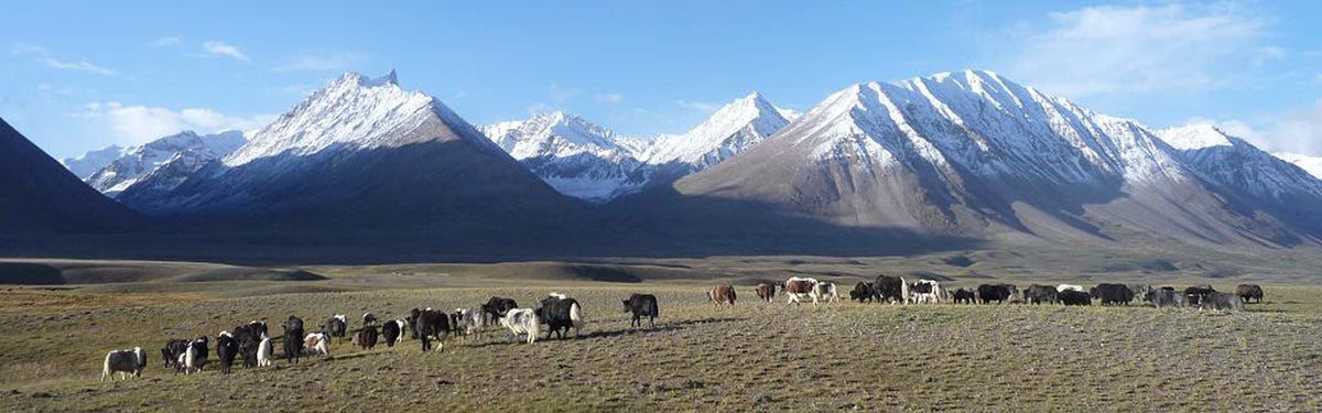 Another Afghanistan: Trekking in the Wakhan Corridor