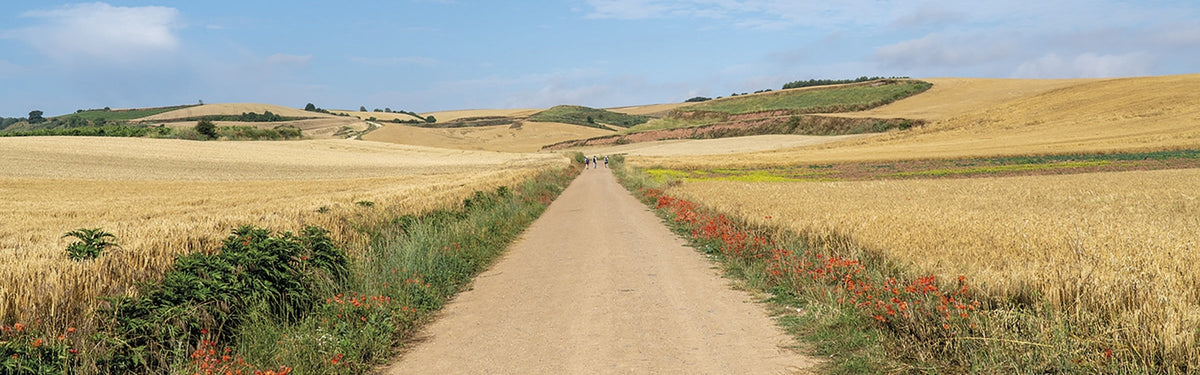 Camino de Santiago – Camino Francés: a complete planning guide