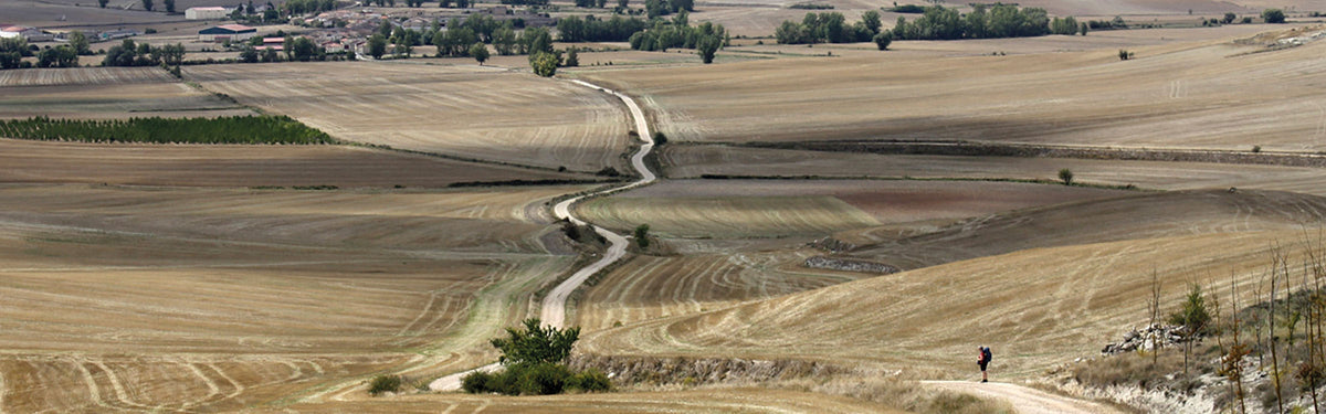 Summer on the Camino Del Norte