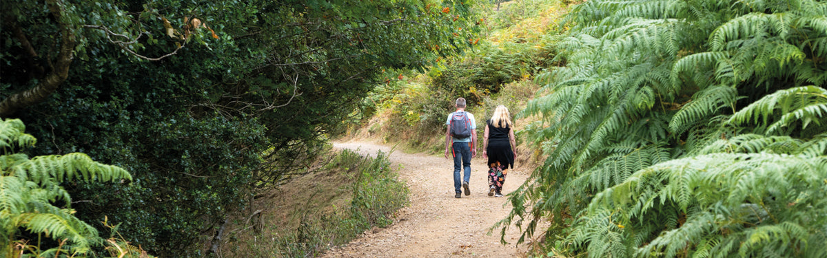 Discover the Malvern Hills with five of the best short walks in the area
