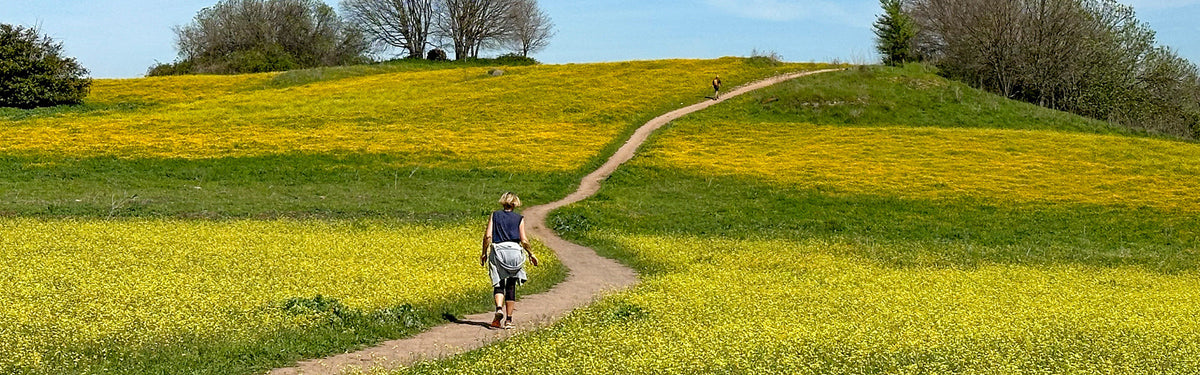 Everything you need to know about walking the Via Francigena in the South