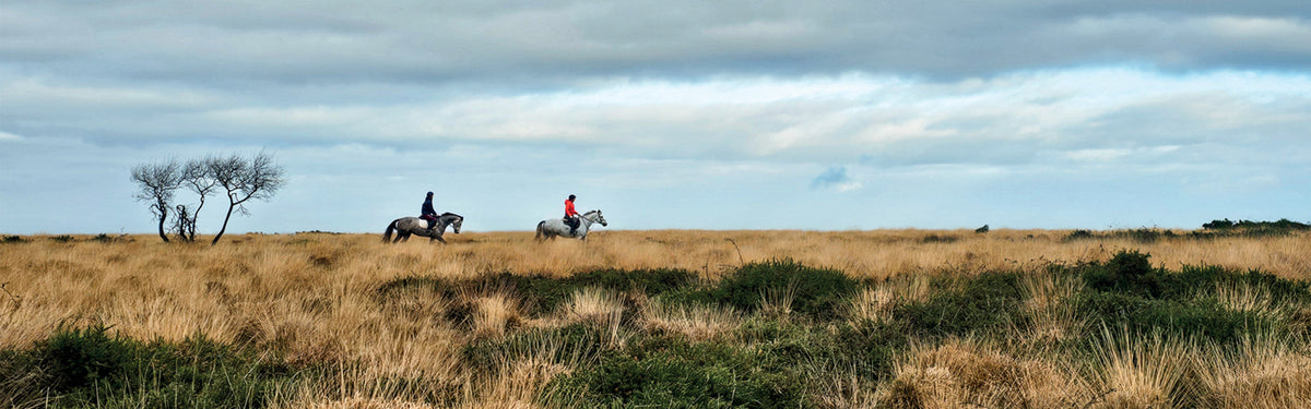 Explore Cheddar and the Mendip Hills with five of the best short walks in the area