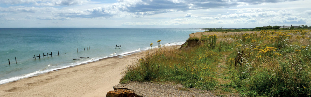Norfolk Coast