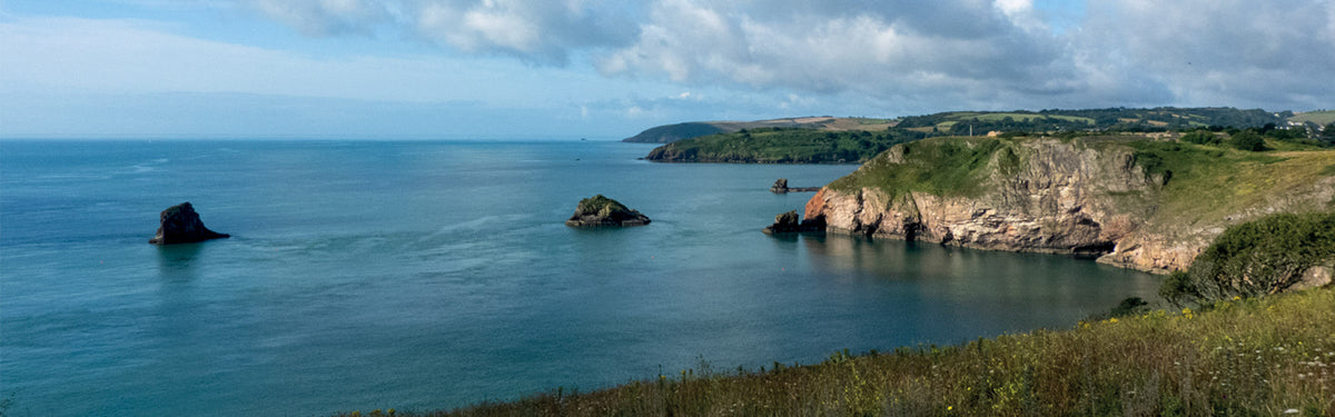 Explore South Devon: Five of the best short walks surrounding Salcombe, Brixham and the coast