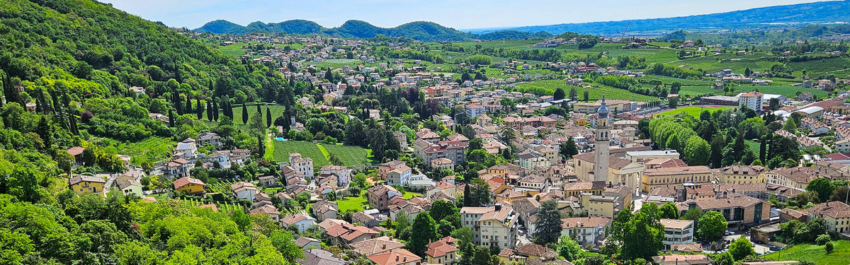 Exploring the Prosecco Hills: a conversation with Gillian Price