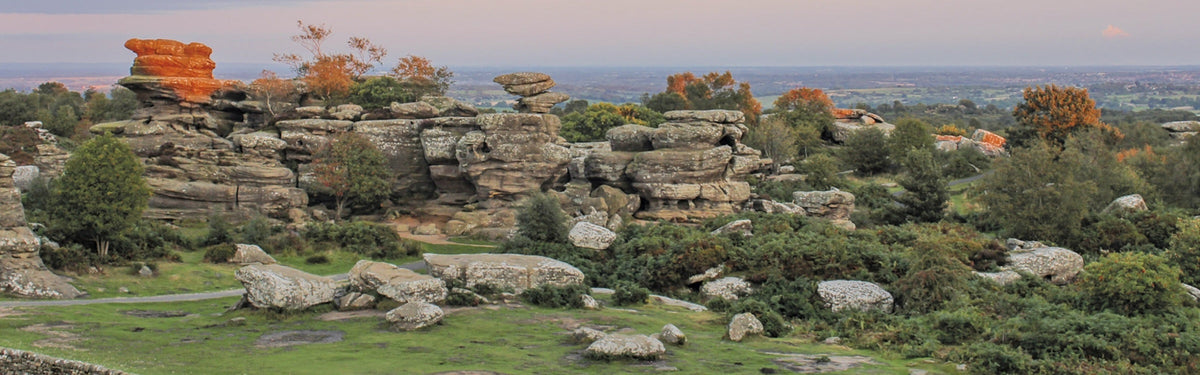 Five of the best short walks in Nidderdale