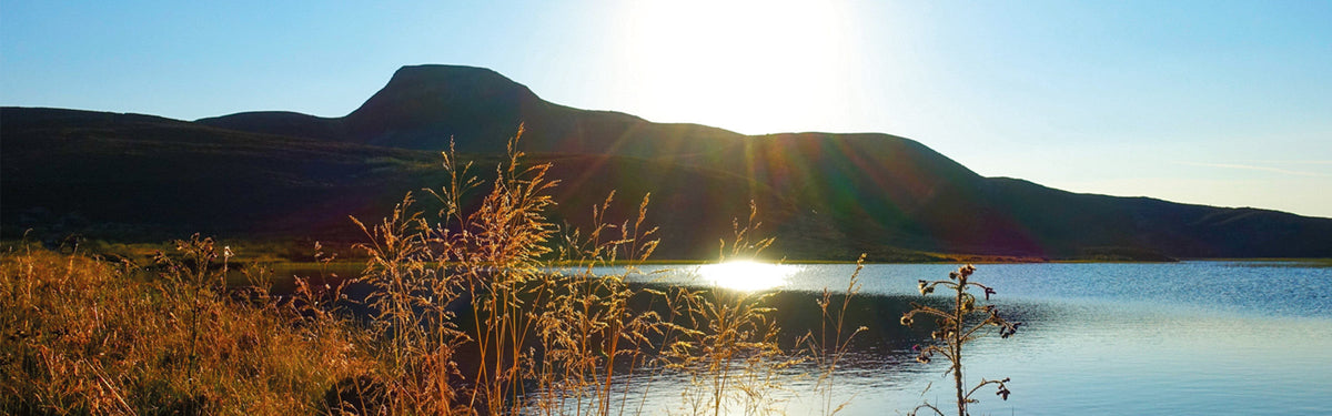 Five of the best short walks in North Perthshire (Pitlochry, Aberfeldy and Dunkeld)