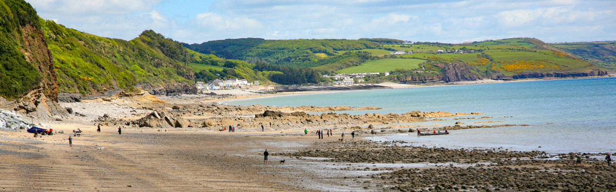 Five best short walks on the Pembrokeshire coast: castles, lily ponds and island views