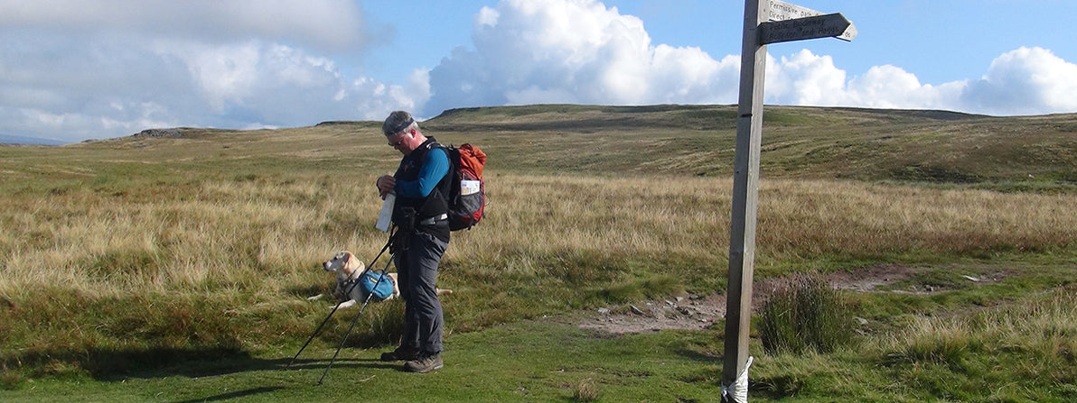 How to go long-distance walking with a dog