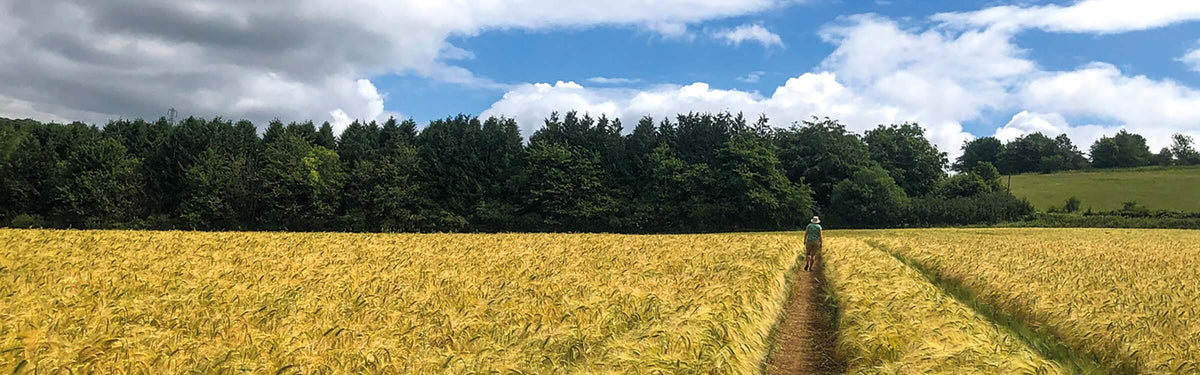 In conversation with Dan Hughes: Walking the Gloucestershire Way