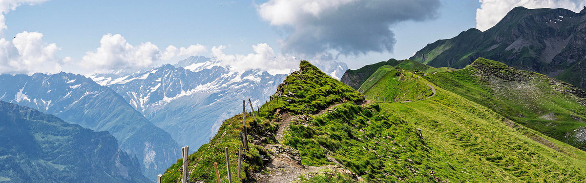 In conversation with Jonathan Williams: trekking in the Bernese Oberland