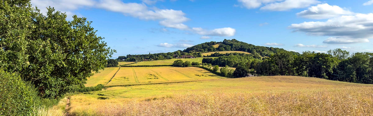In conversation with Julia Goodfellow-Smith: Walking in Worcestershire