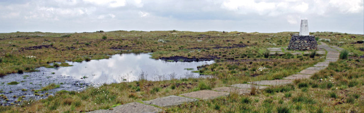 Article Header Image
