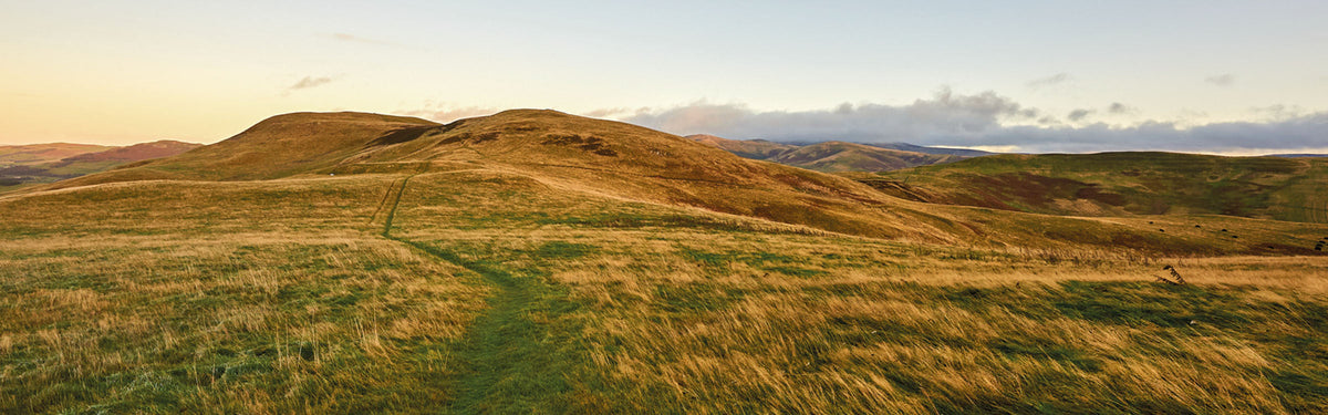 An introduction to St Cuthbert's Way