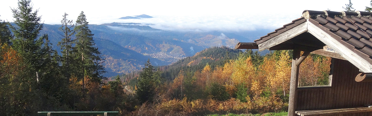 An introduction to The Westweg in Germany's Black Forest