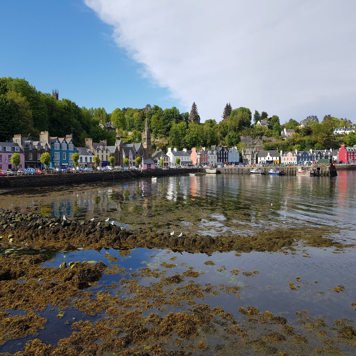 9 reasons why the Isle of Mull is fantastic for low-level walking