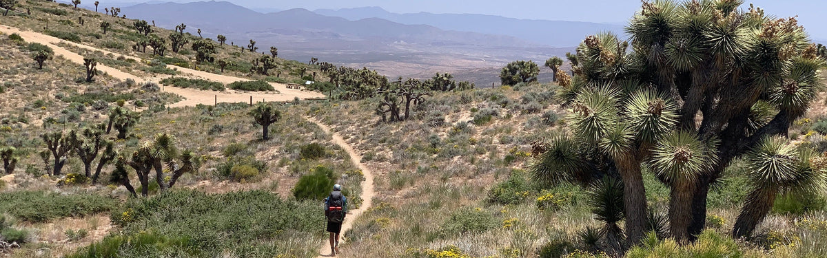 PCT experience: what it’s like to hike the Pacific Crest Trail