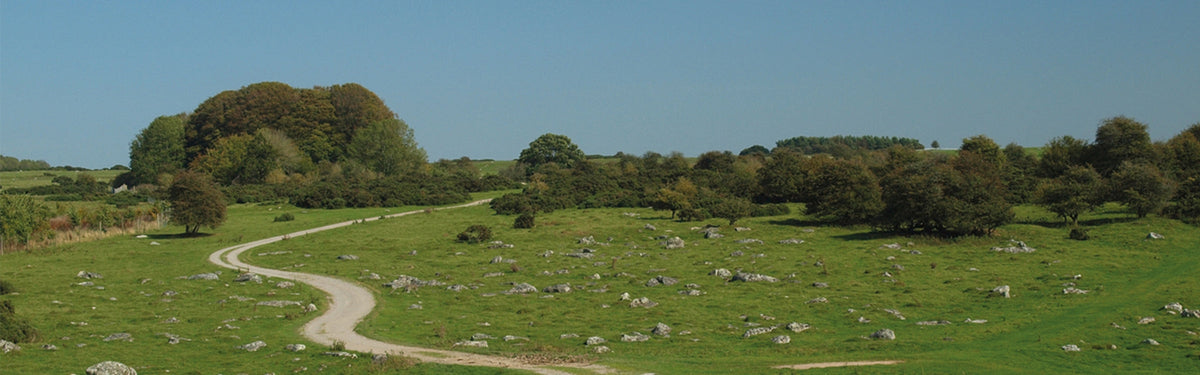 The Ridgeway National Trail: Did you know?