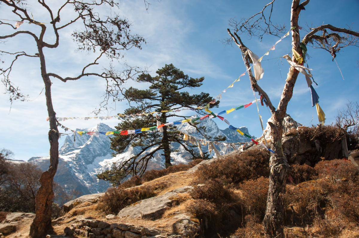 Running on the roof of the world: The Everest Marathon