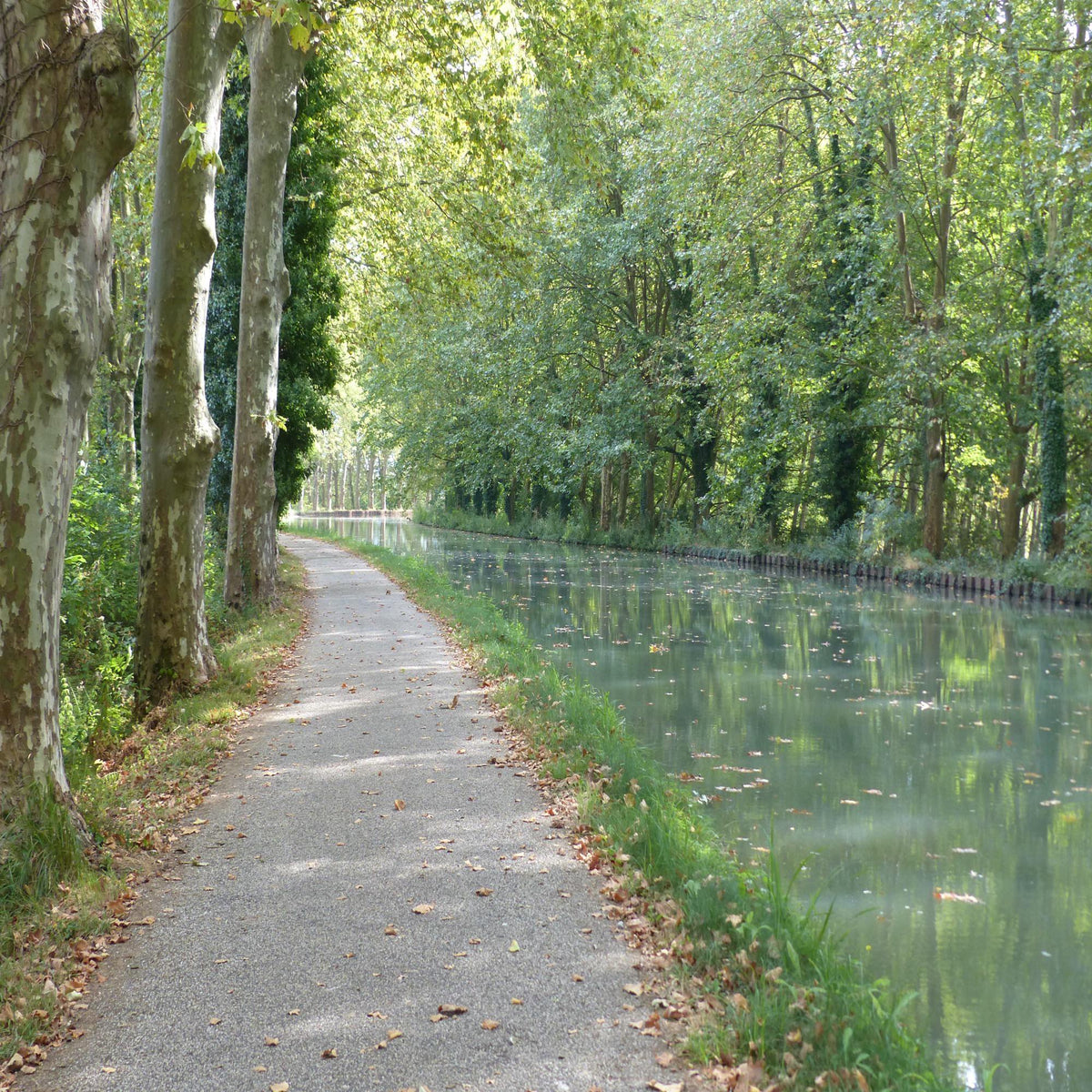 The Canal de la Garonne from Bordeaux to Toulouse – a cyclist’s dream