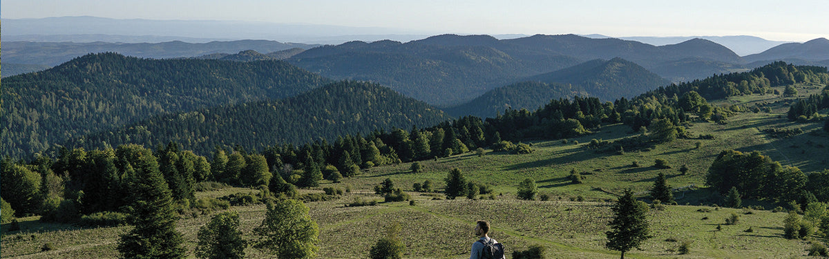 The Cathar Way – essential facts & top tips