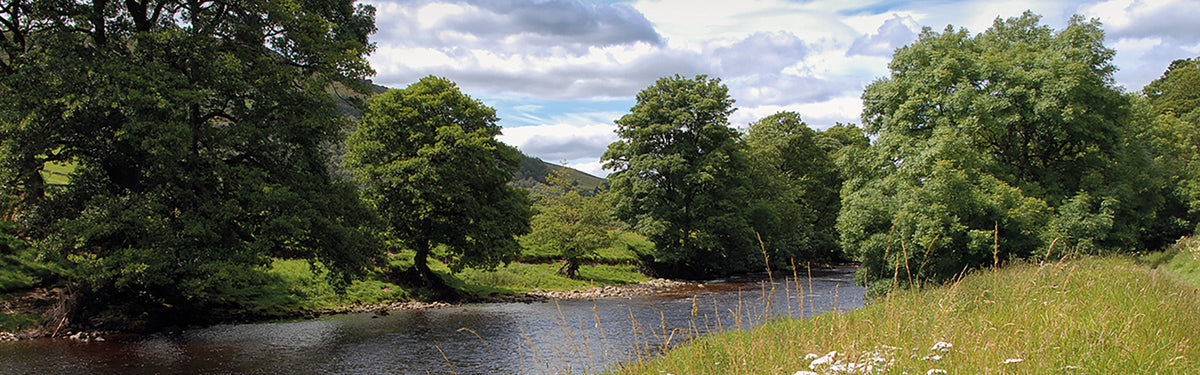 The Dales Way: a complete planning guide