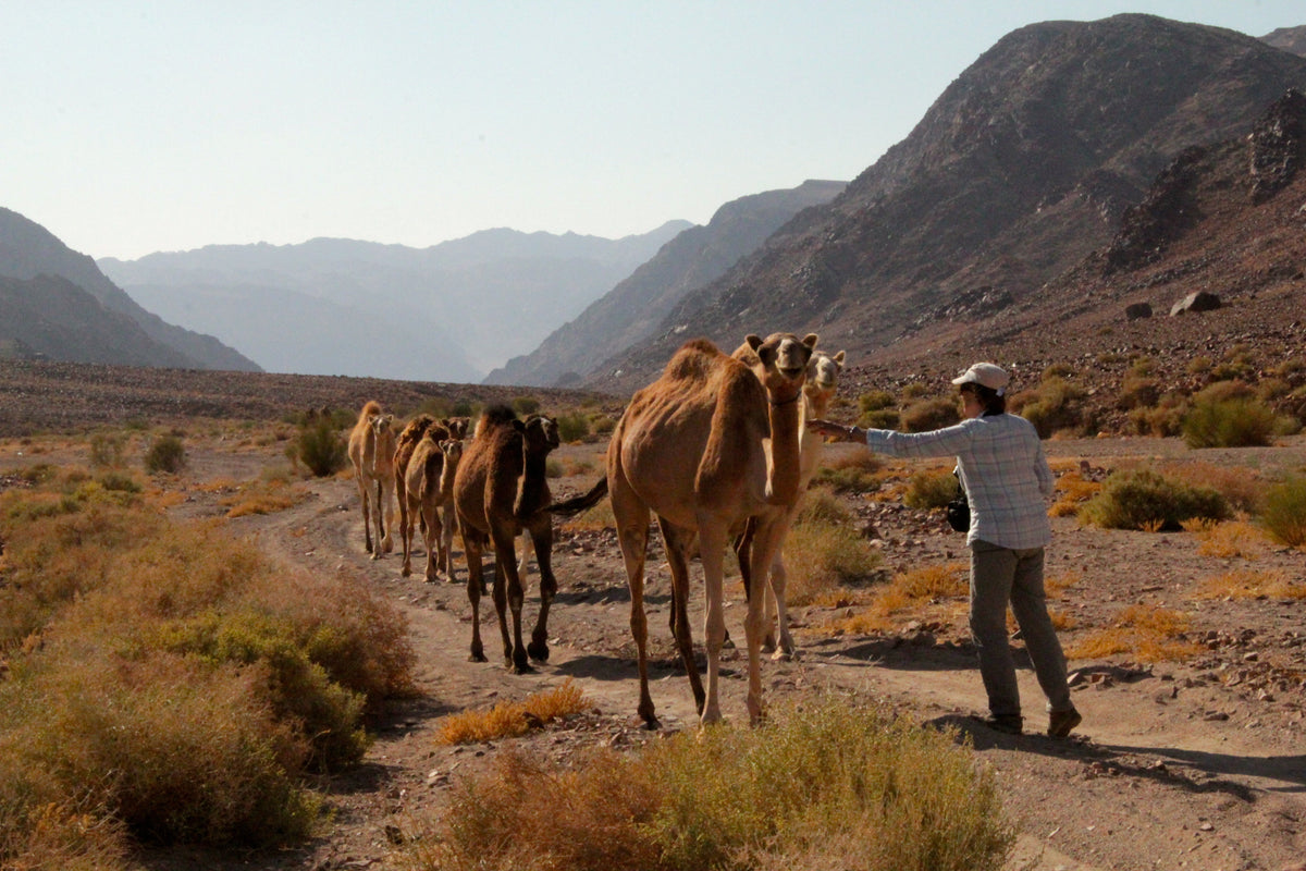 The history of the Jordan Trail