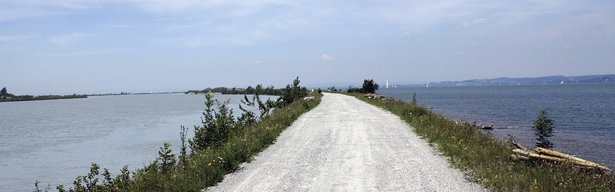 The Rhine Cycle Route: ultimate planning guide