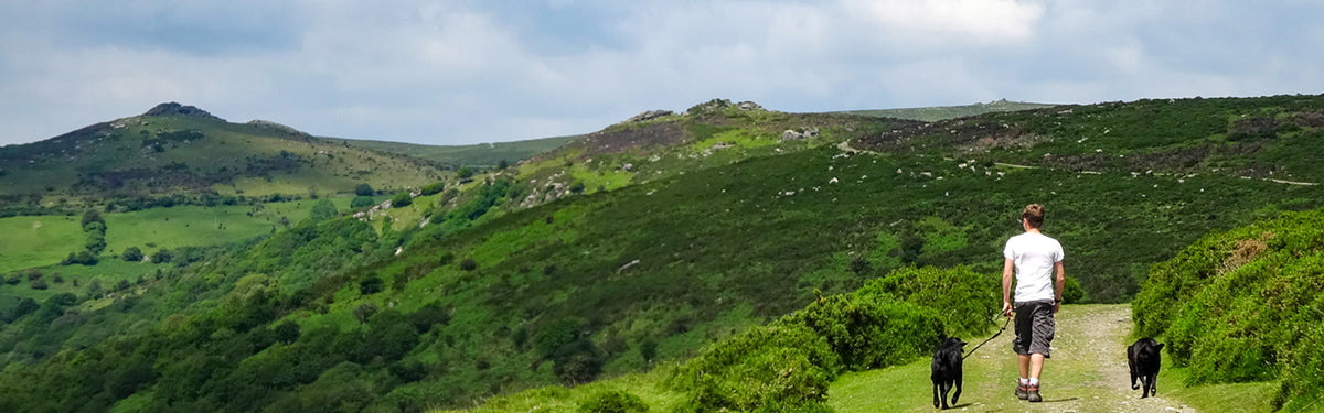 The Two Moors Way: a complete planning guide