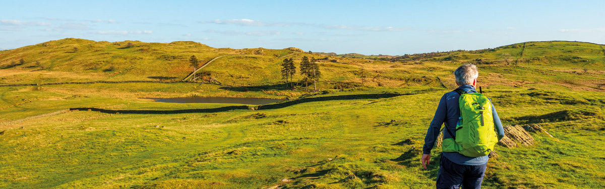 Top five short walks around Windermere, Ambleside and Grasmere