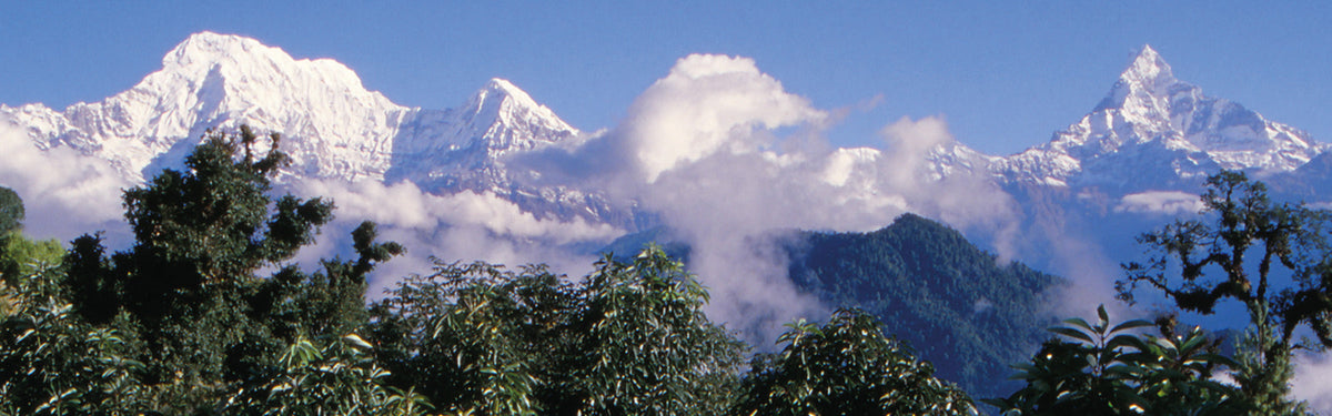 Trekking the Annapurna: everything you need to know