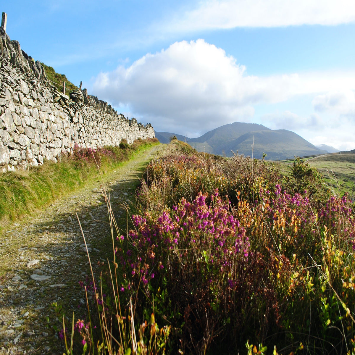 6 of the best valley walks to get to know Snowdonia