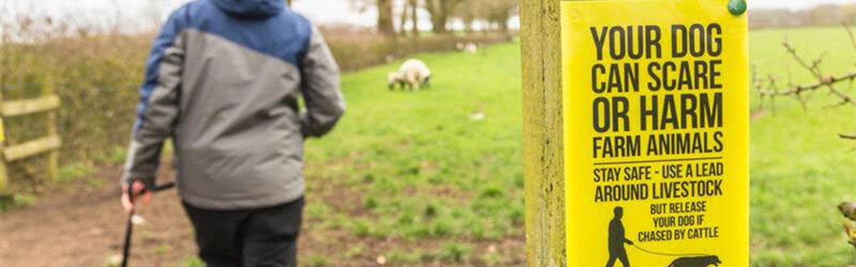 Walkers and livestock: how to behave around animals