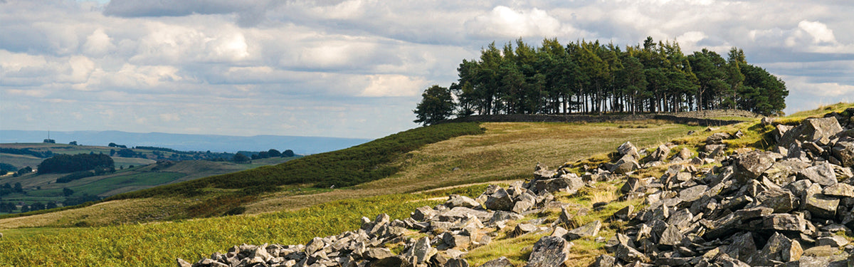 Walking in County Durham: a complete planning guide
