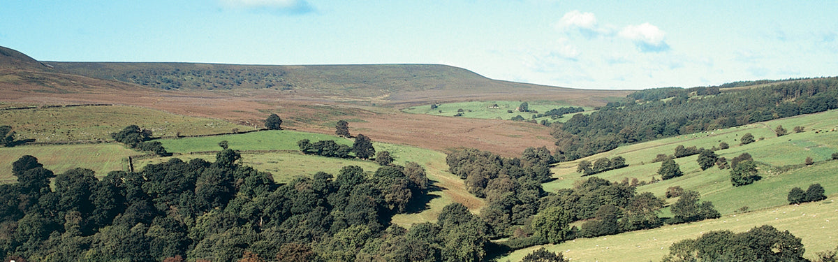 Walking in the North York Moors: a complete planning guide