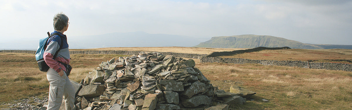 Walking in the Yorkshire Dales South and West: a complete planning guide