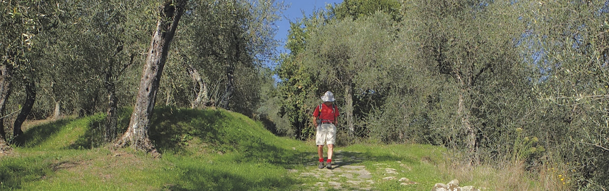 The old paved way down to Pescia Walk 4