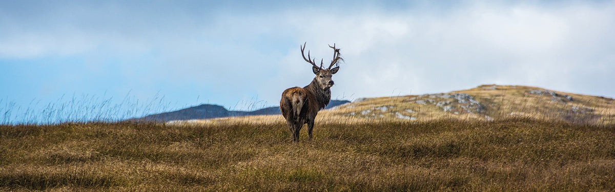 Walking on Jura, Islay and Colonsay: complete planning guide