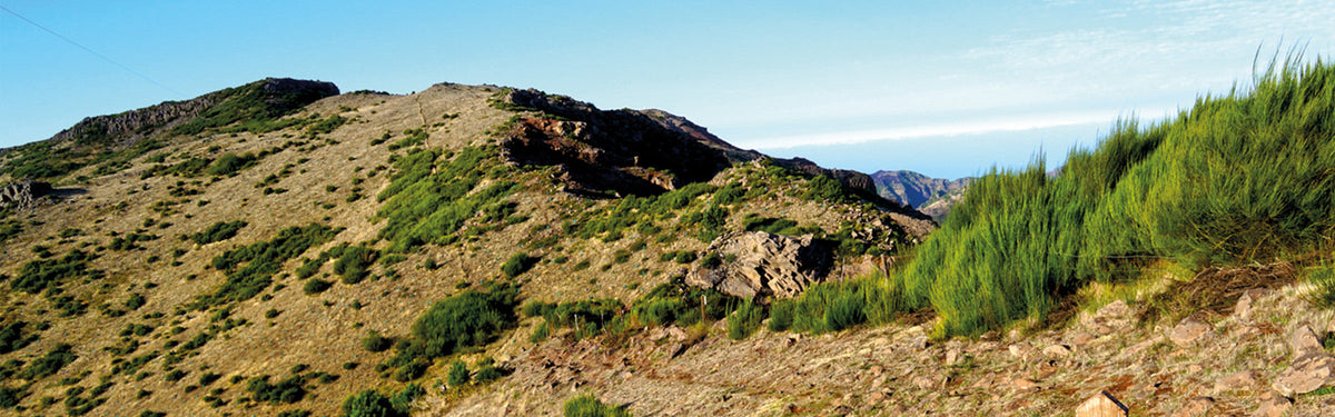 Walking on Madeira - everything you need to know