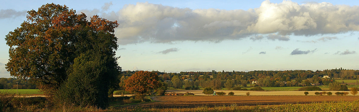 Walking the Essex Way: from Epping to the coast