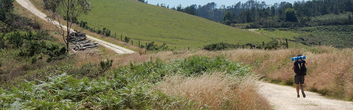 What pilgrim trail should I do? The best pilgrimages and caminos in the world