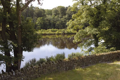 Walking in the Forest of Bowland and Pendle  - Route Photos